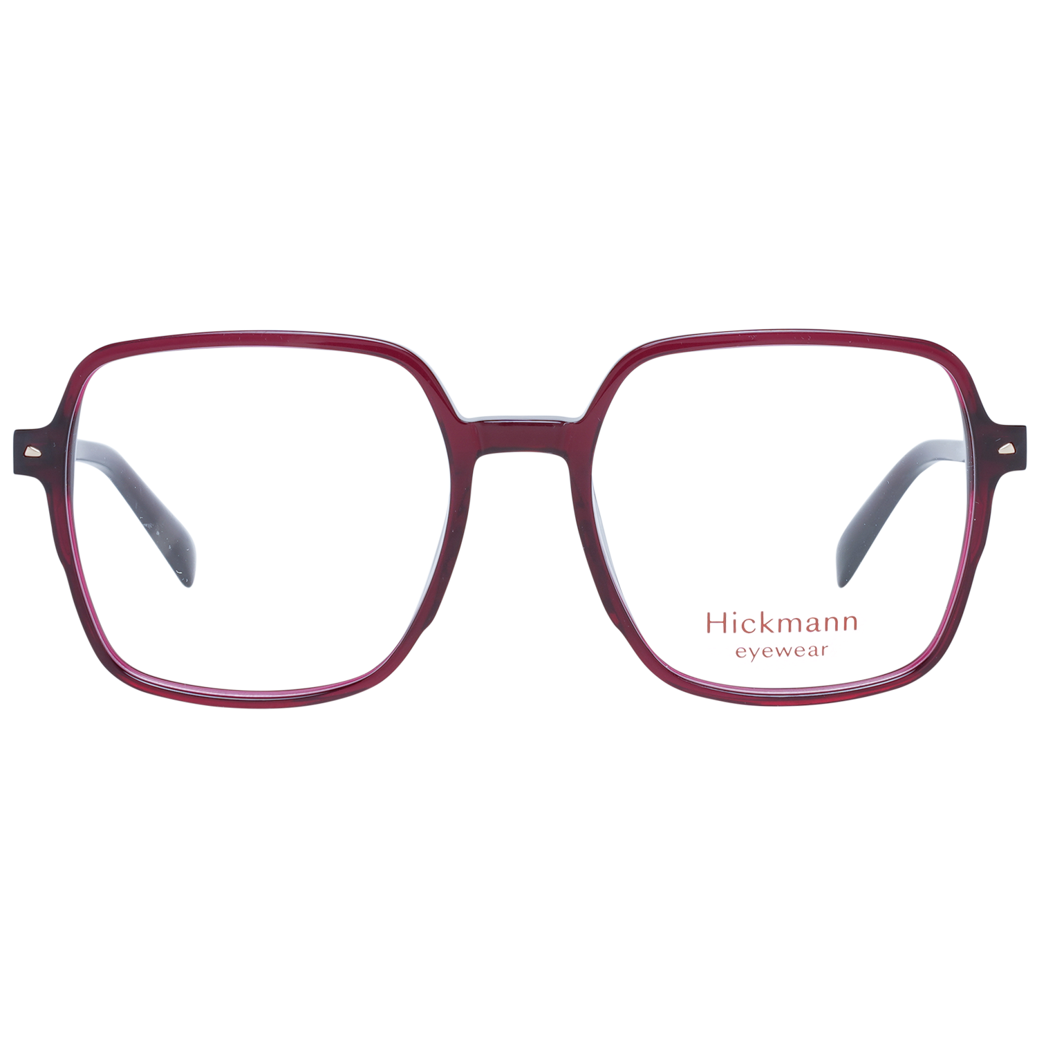 Ana Hickmann Optical Frame HI6234 H02 52