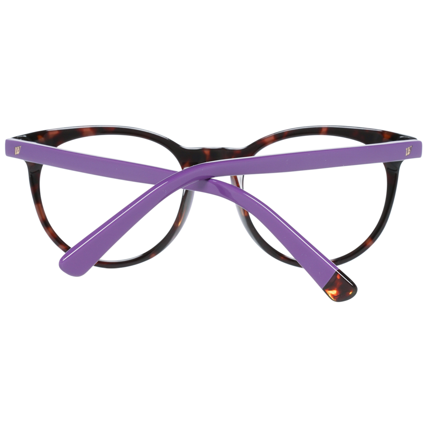 Web Brille WE5251 A56 49