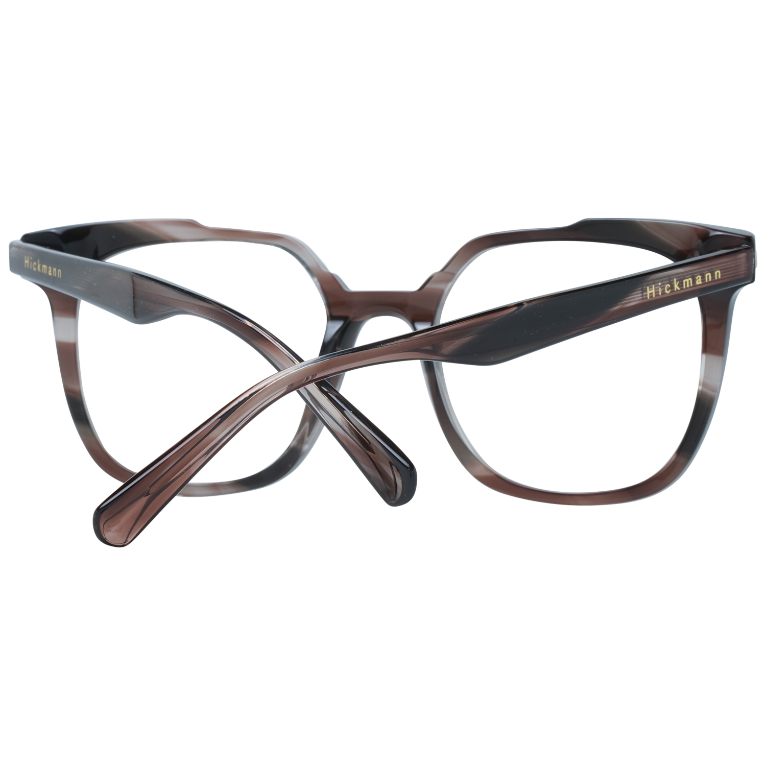 Ana Hickmann Brille HI6233 E01 51