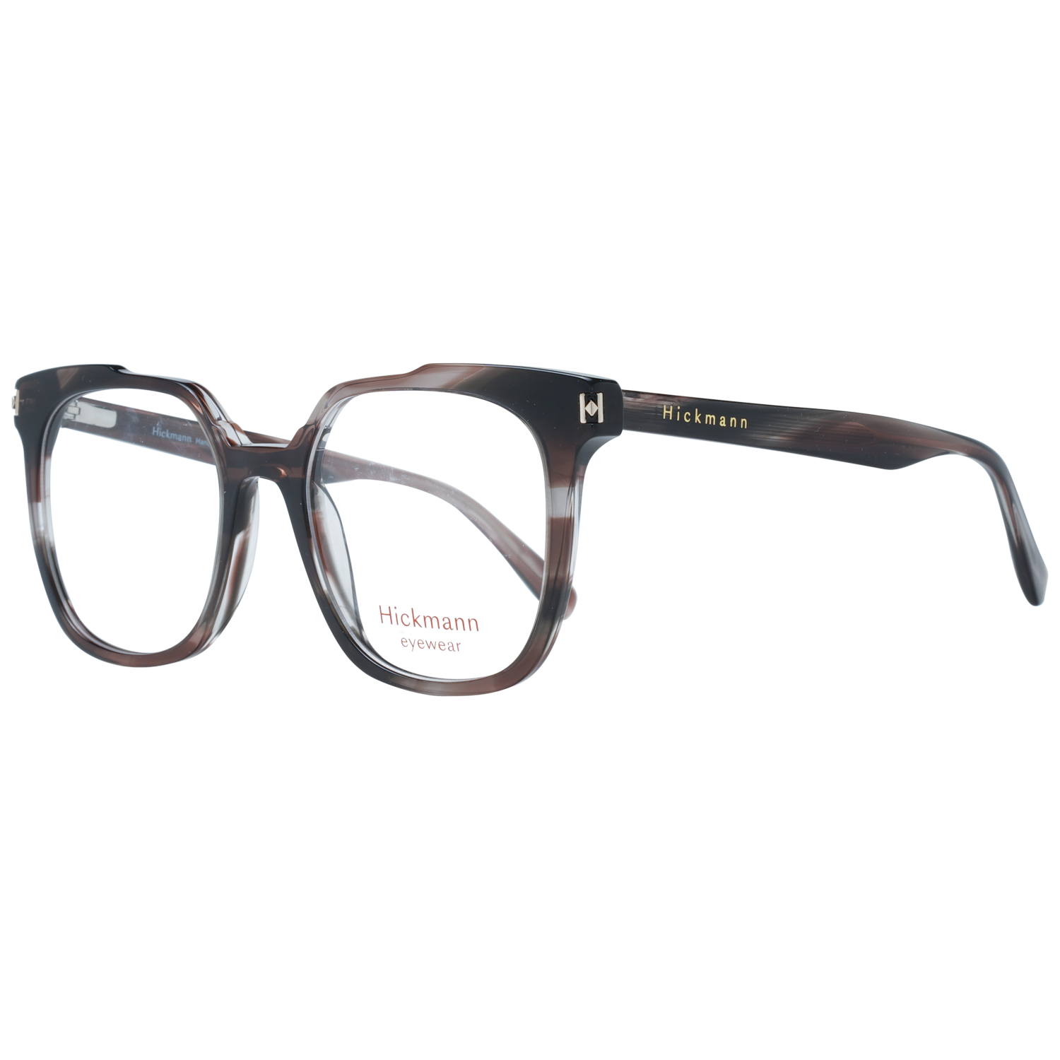 Ana Hickmann Brille HI6233 E01 51