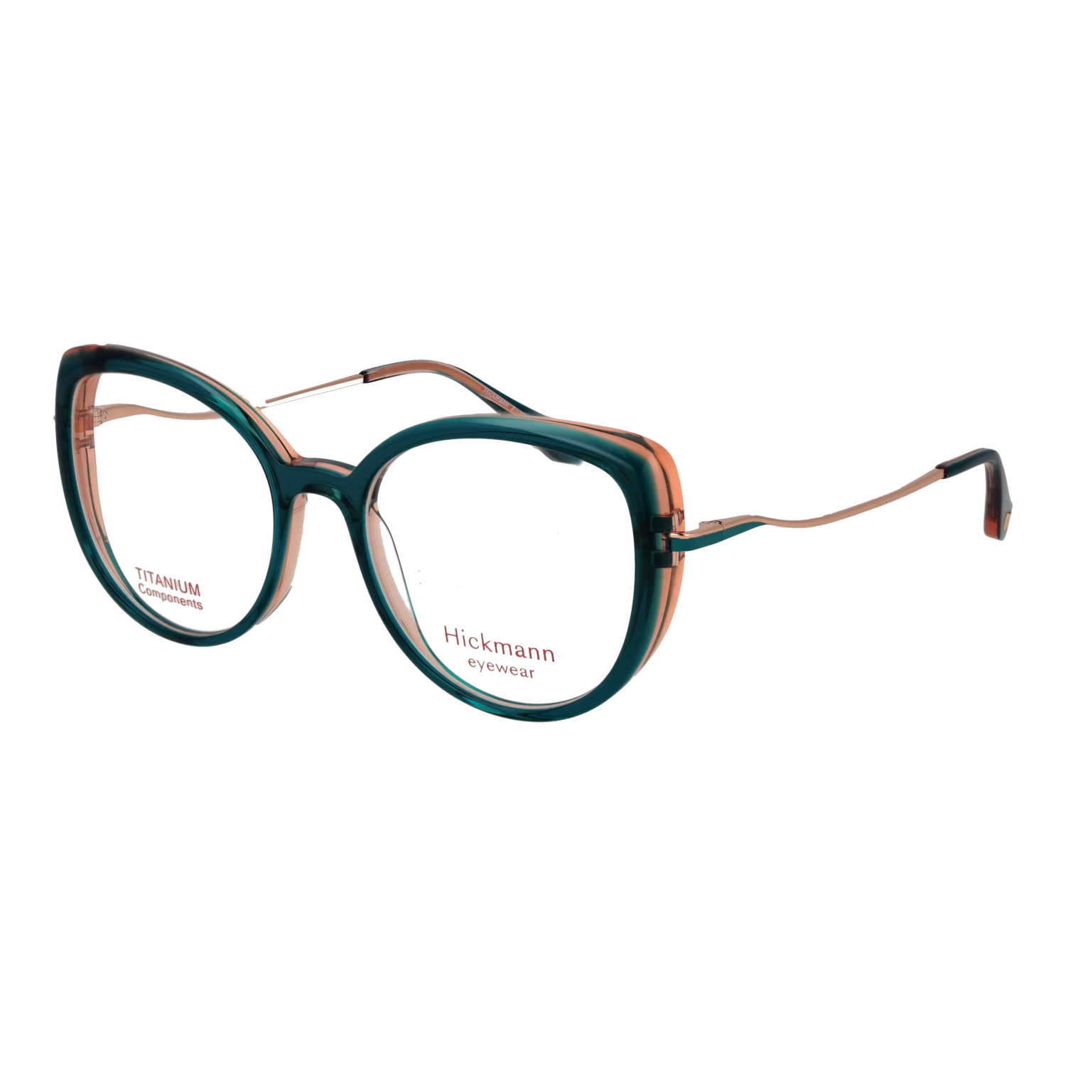 Ana Hickmann Brillenfassung HI6334T H01 51 Titan
