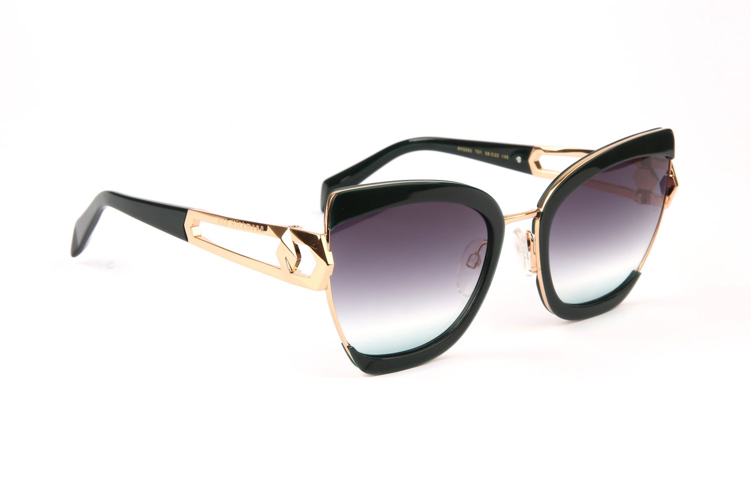 Ana Hickmann Sunglasses AH3282 T01 58