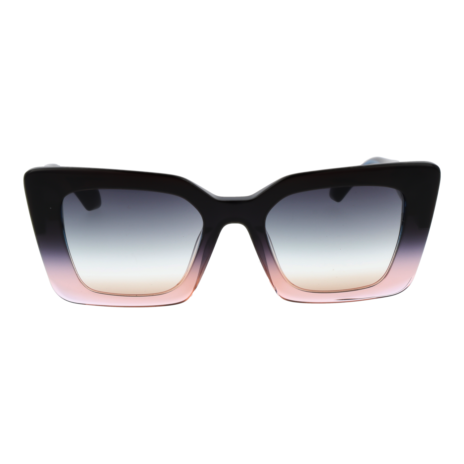 Ana Hickmann Sunglasses AH9372 C02 50