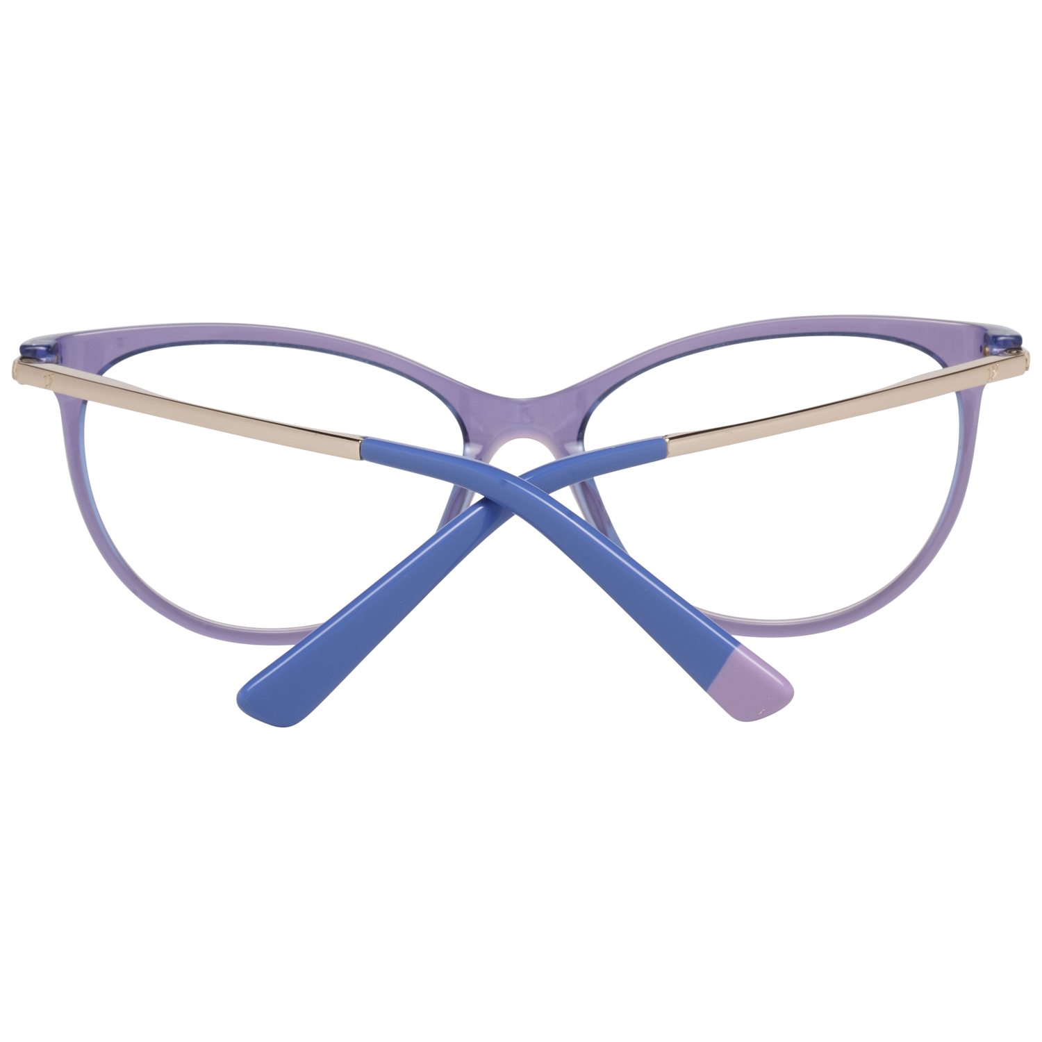 Web Brille WE5239 080 54