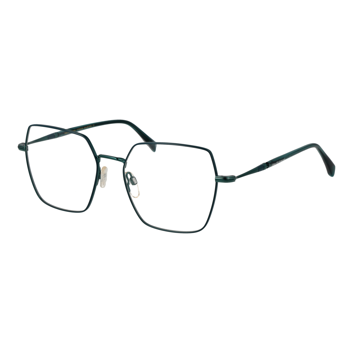 Ana Hickmann Optical Frame AH1548T 12A 54 Titanium