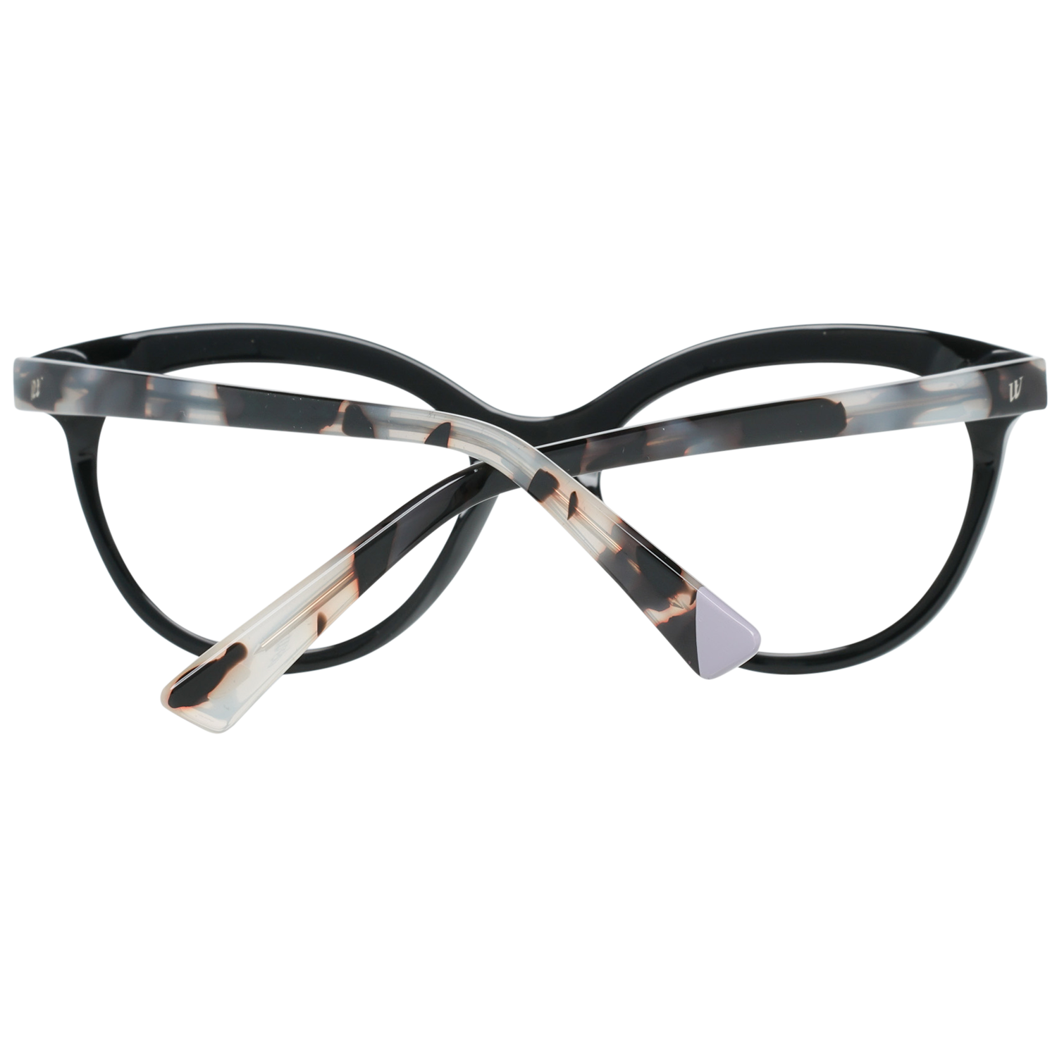 Web Brille WE5250 A01 51