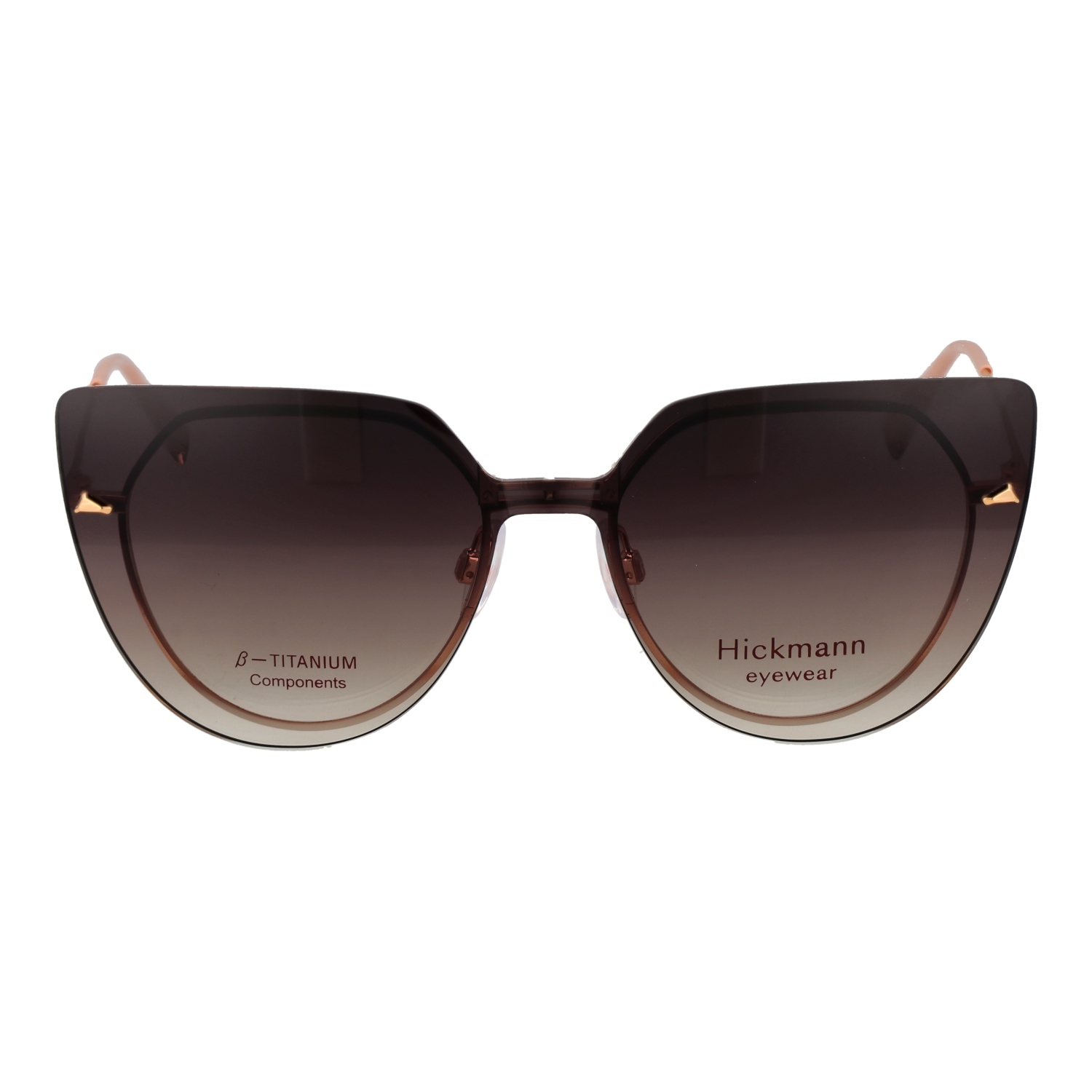 Ana Hickmann Brillenfassung HI1262GT 01A 49 Titan & Sonnenbrillen Klipp HI1262GT 01AG 49