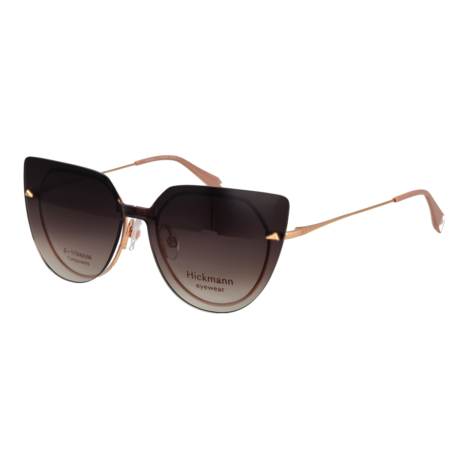 Ana Hickmann Brillenfassung HI1262GT 01A 49 Titan & Sonnenbrillen Klipp HI1262GT 01AG 49