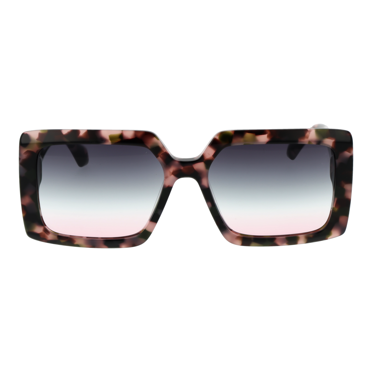 Ana Hickmann Sunglasses AH9411 G21 55