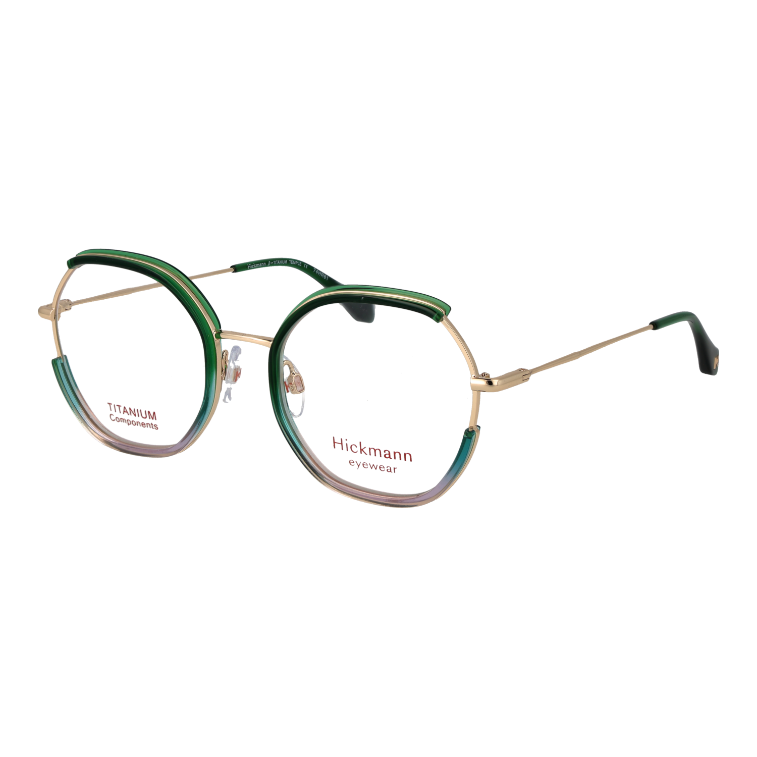 Ana Hickmann Optical Frame HI1279T C02 50 Titanium