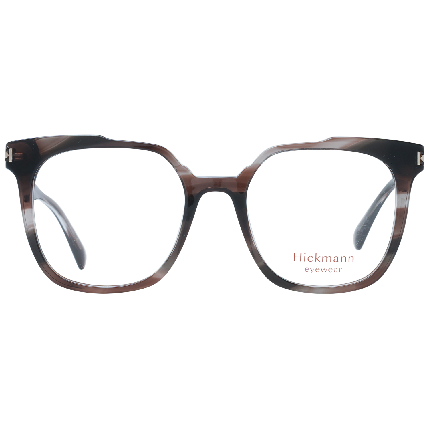 Ana Hickmann Brille HI6233 E01 51