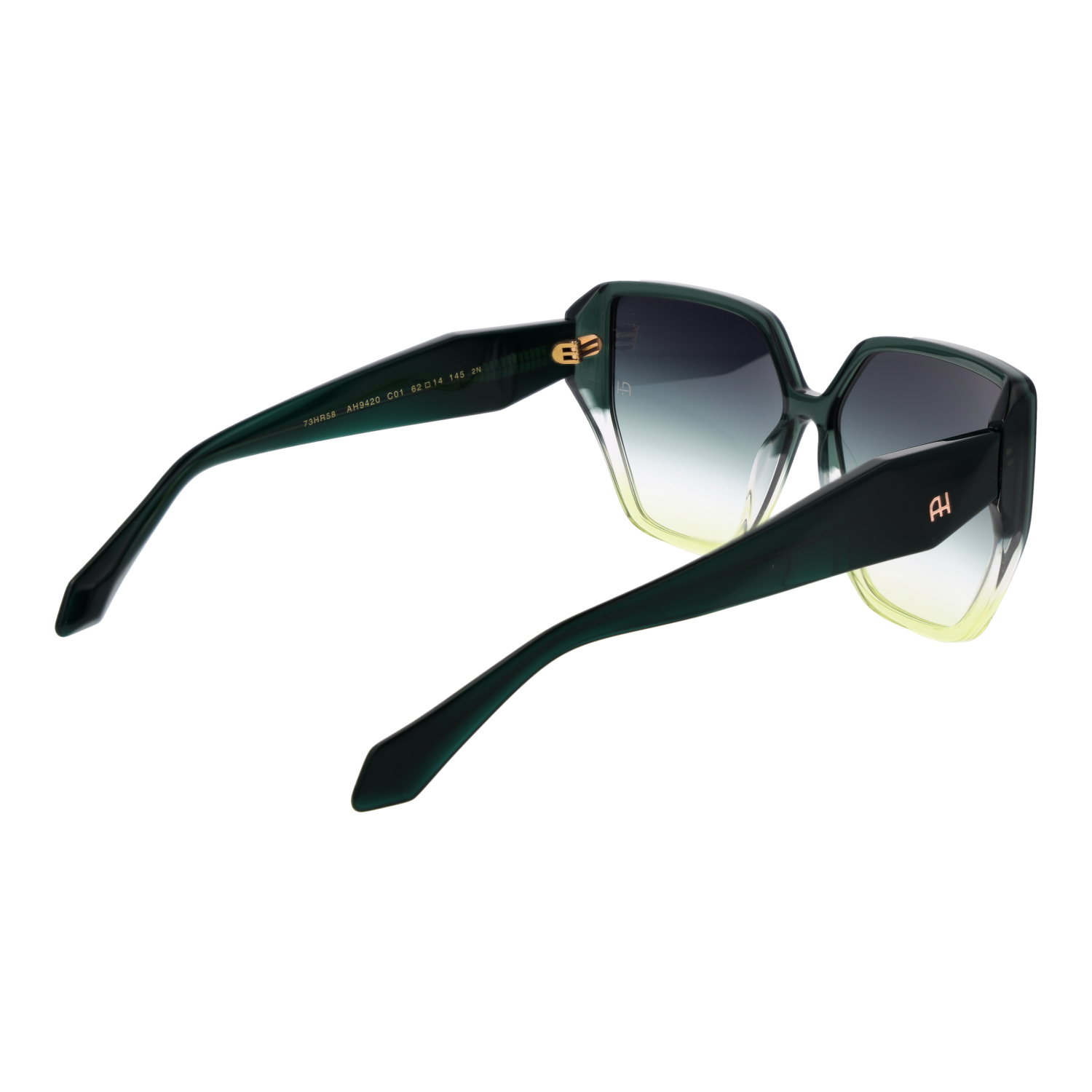 Ana Hickmann Sunglasses AH9420 C01 62
